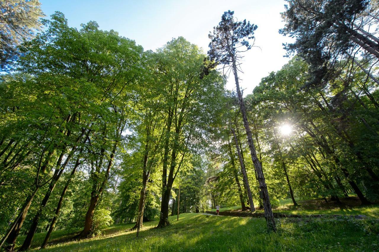 In Park Villa Valjevo Extérieur photo